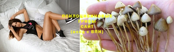 круглые Алексин