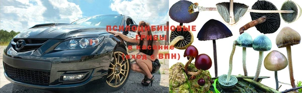 круглые Алексин