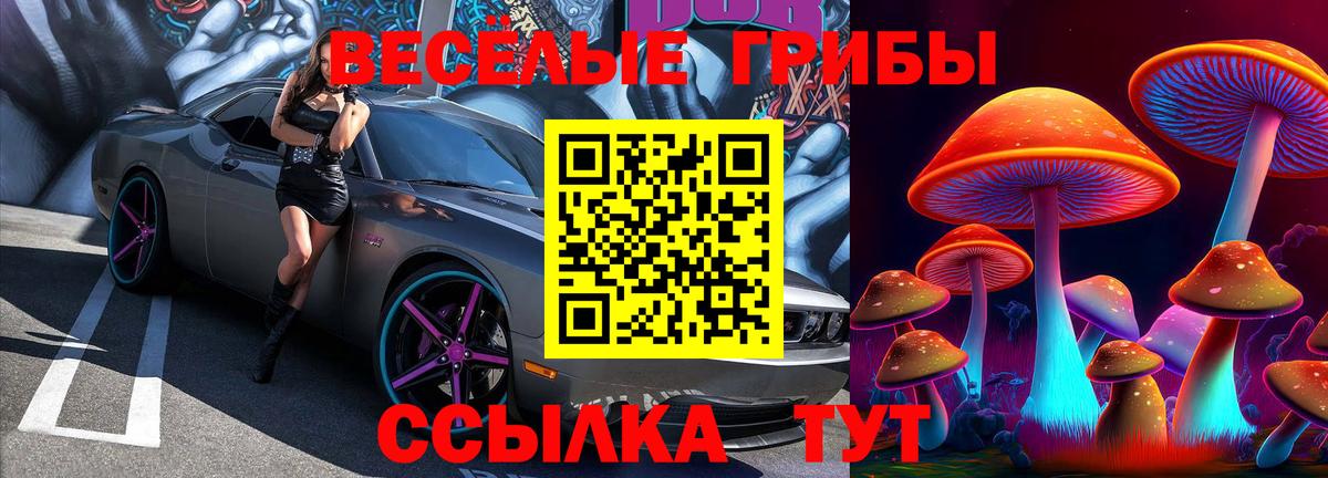Галлюциногенные грибы Psilocybine cubensis Находка