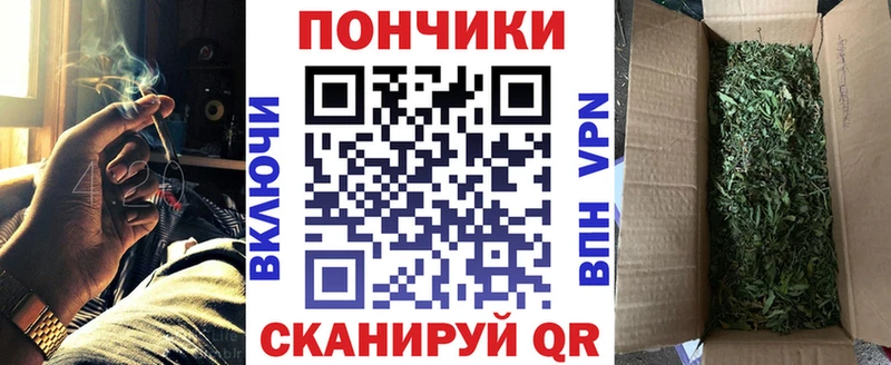 Конопля гибрид  Находка 